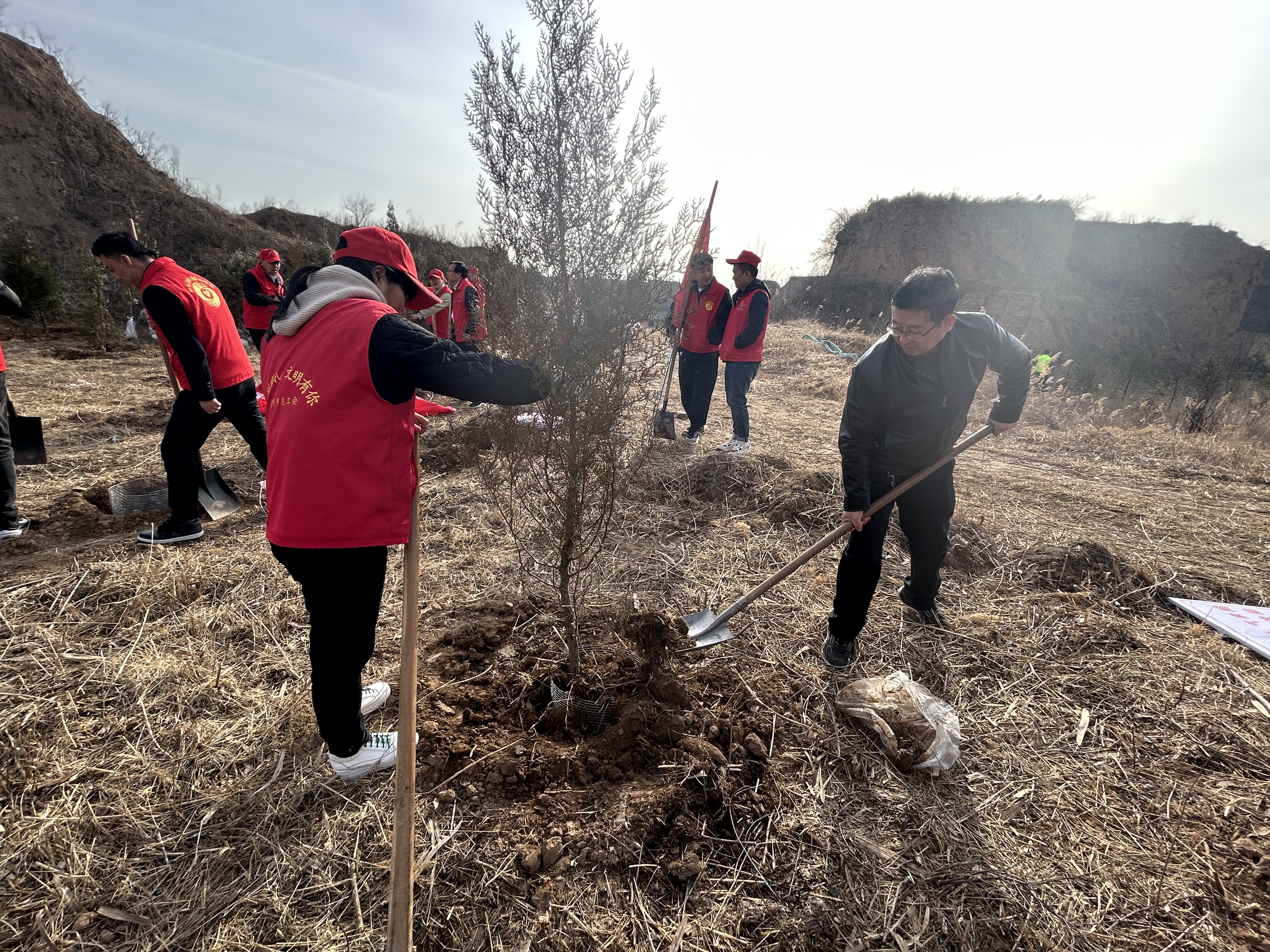 增一片綠葉  多一份溫馨 ---彬州市總工會開展植樹造林志愿服務活動